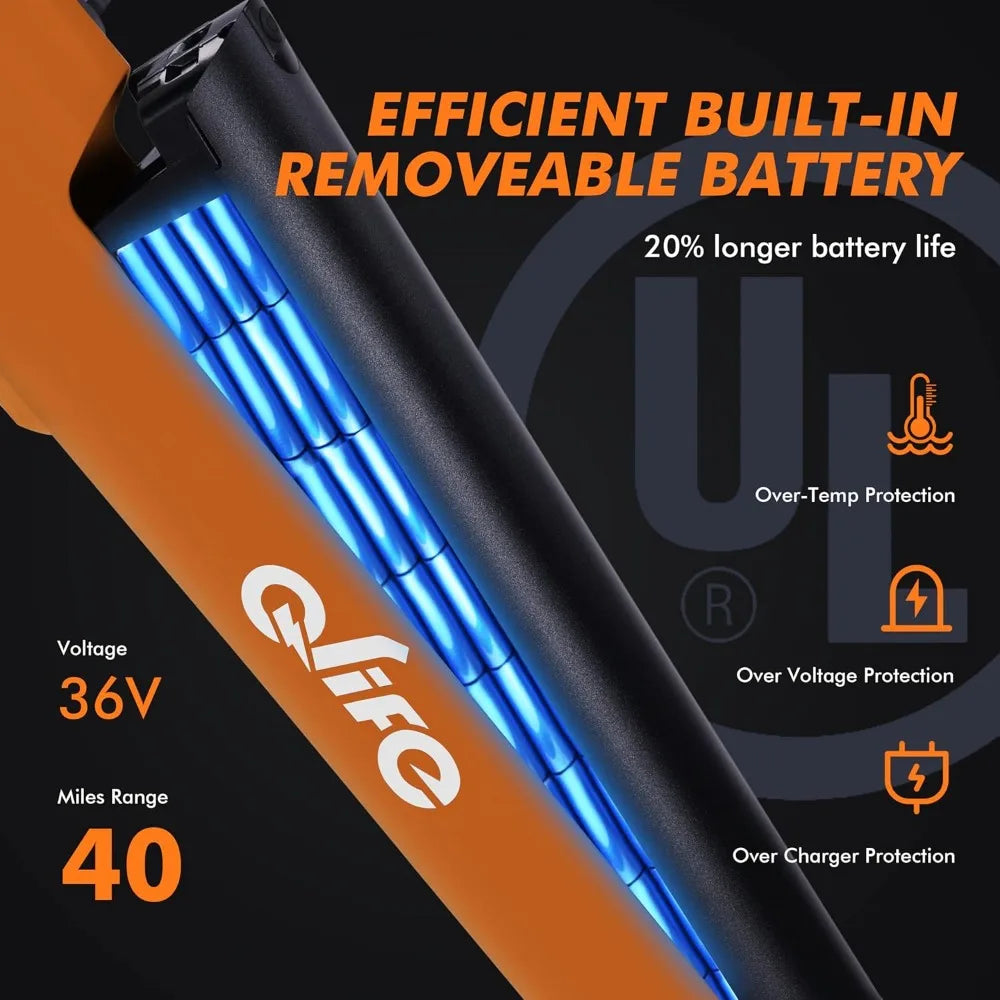 Step-Through 22MPH 750W Motor Ebikes
