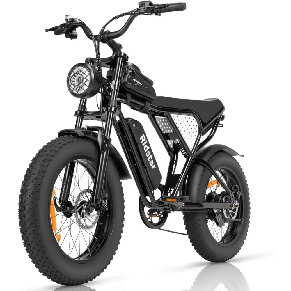 Shamano 7-Speed E-Bike